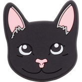 Black Cat