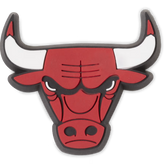 NBA Chicago Bulls