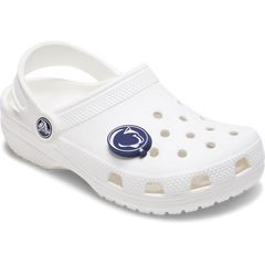Penn State University