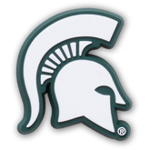 Michigan State University