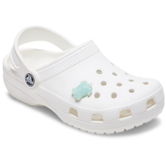 Light Blue Turtle