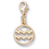 Aquarius Charm