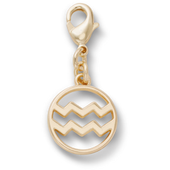 Aquarius Charm