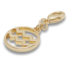 Aquarius Charm