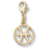 Pisces Charm
