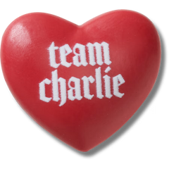 The Twilight Saga Team Charlie