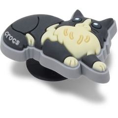 Black Cat With Boots