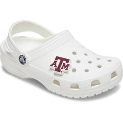 Texas AM University