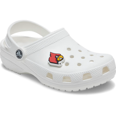 University of Louisville