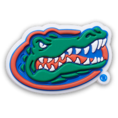 University of Florida