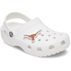 University of Texas