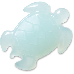 Light Blue Turtle