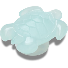 Light Blue Turtle