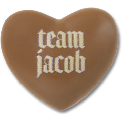 The Twilight Saga Team Jacob