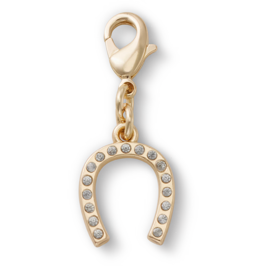 Horseshoe Charm