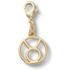 Taurus Charm