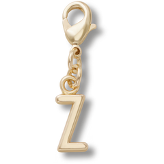 Gold Letter Z Charm