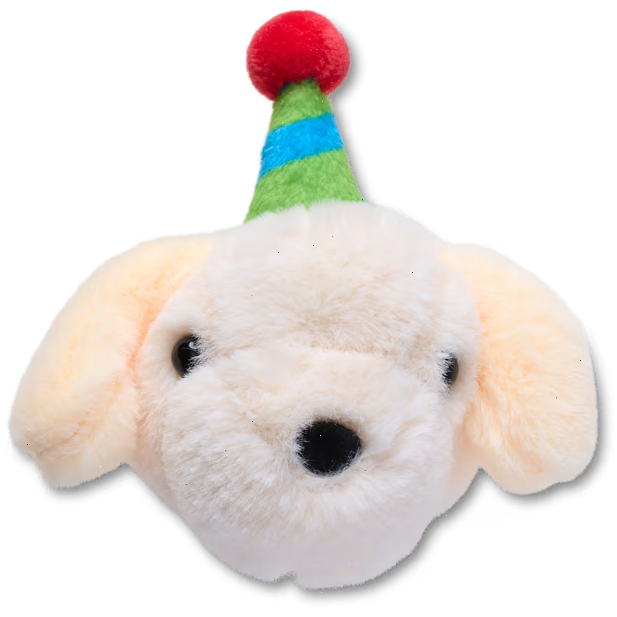 Record Your Own Sound Birthday