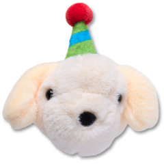 Record Your Own Sound Birthday