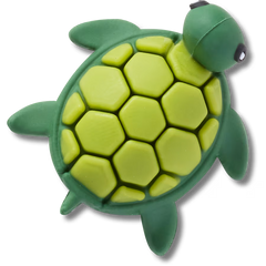 3D UV Changing Turtle