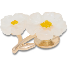 White Floral Blossom